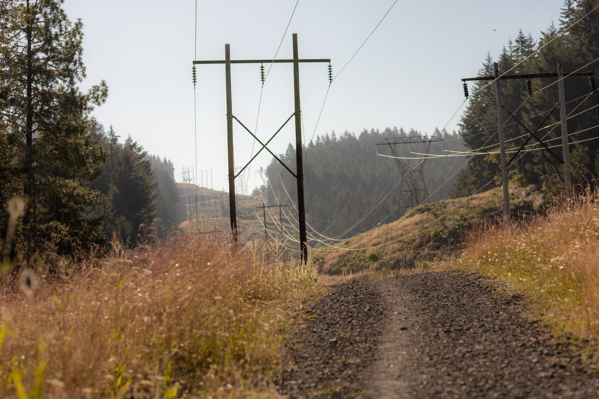 Power lines running through a rural landscape with a gravel road, dry grass and pine forest in the background.