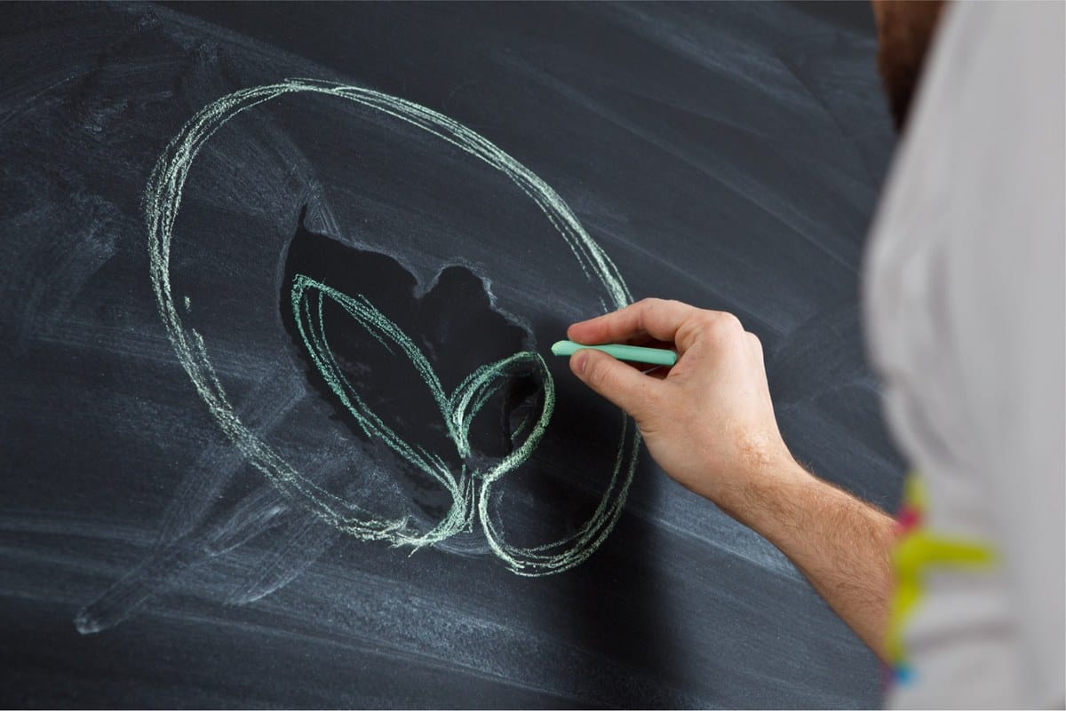 Hand drawing a green plant seedling with leaves on a blackboard using chalk, symbolising growth and education.
